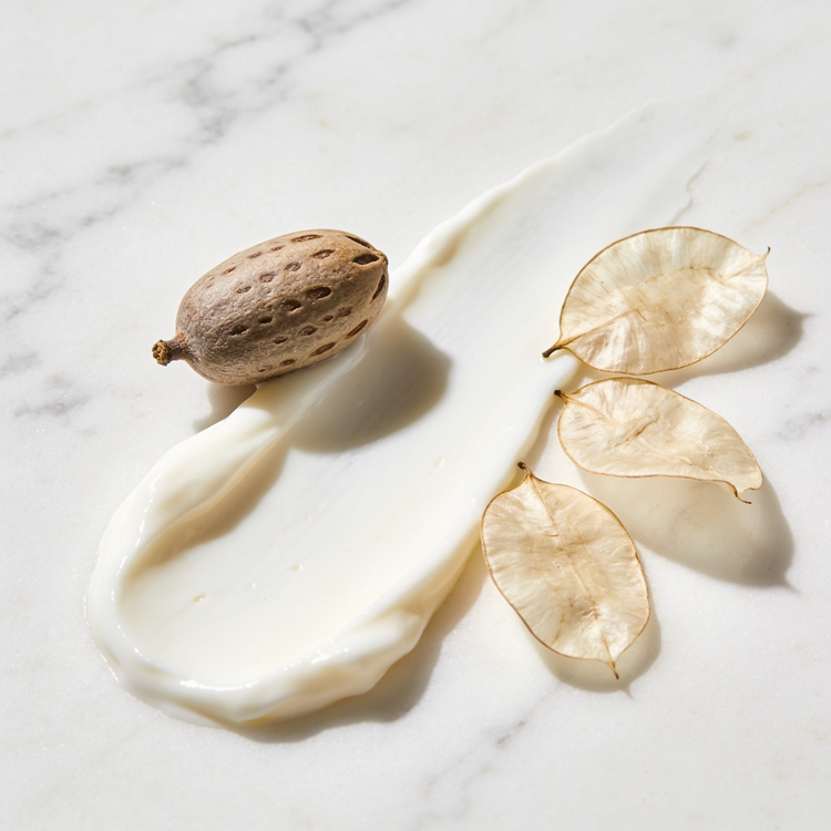 Body Lotions